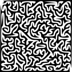 Black and white riddle