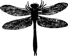 Dragonfly silhouette
