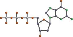 DNA molecule