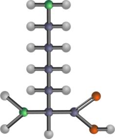 Lysine amino acid