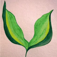 Painted leaves