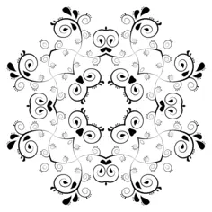 Paisley decoration image