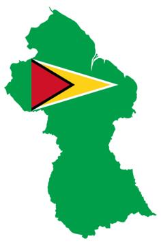 Guyana's flag