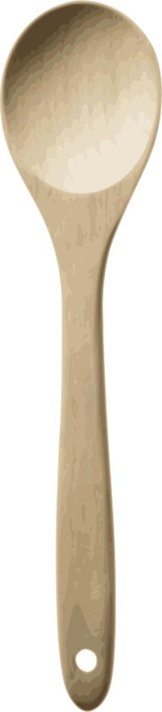 Cooking spoon