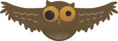 Cartoon Owl Bird
