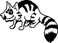 Raccoon