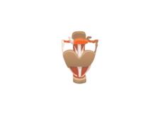 Larynx