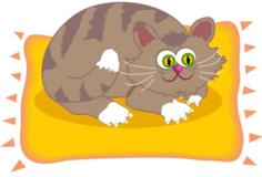 Cat on mat