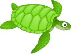 Cartoon turtle
