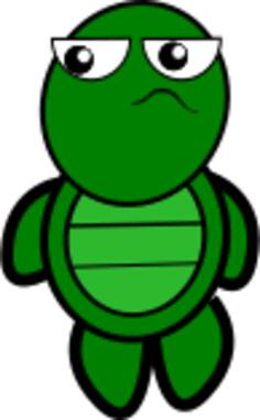 Green Turtle Illustration