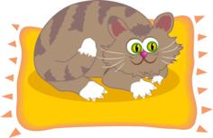 Kitty and rug