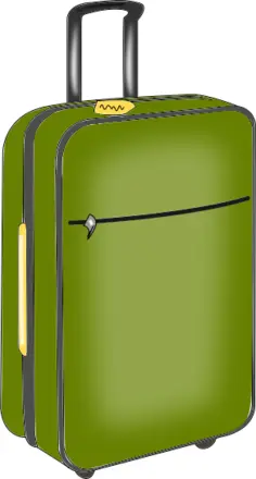 Green luggage
