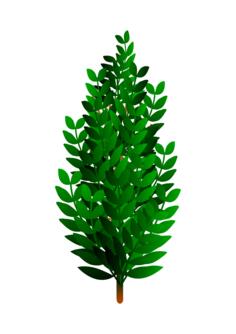 Bush image
