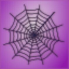 Spider web