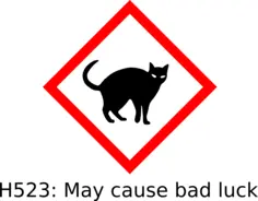 Black cat hazard
