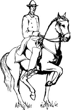 Dressage horse