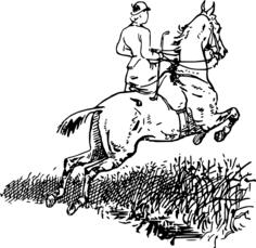 Horse and girl riding