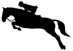 Horse jumping