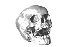 Yawning skull image