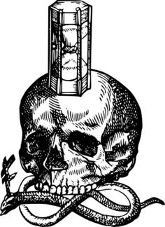 Skull and snake