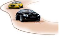 Two racing cars