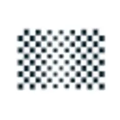 Checkered flag black and white