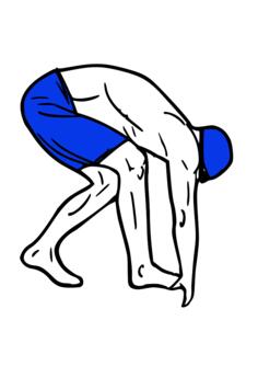 Swimmer