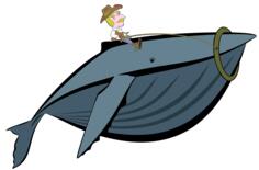 Cowboy riding whale