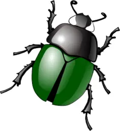 Stylized green beetle