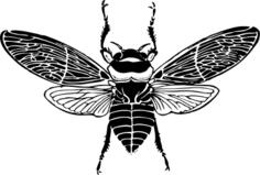 Bee silhouette