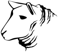 Sheep line art