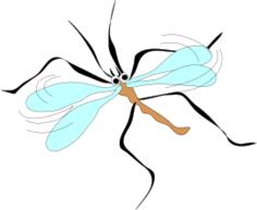 Animated mosquito