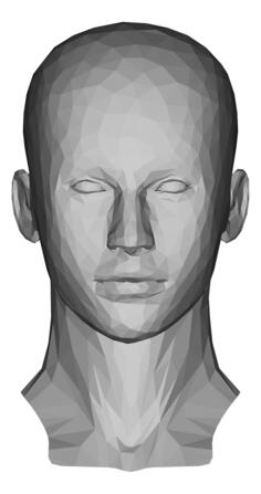 Low Poly Female Head