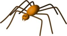 Yellow spider