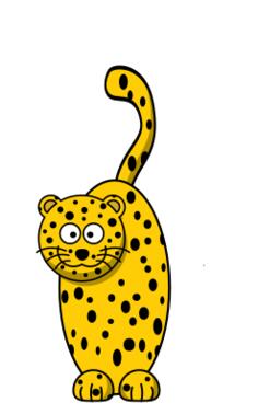Cheetah