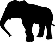 Thai Elephant