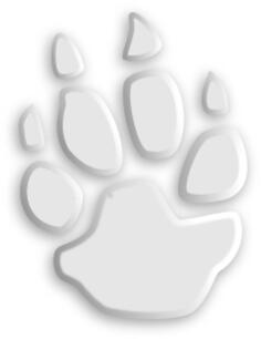 Animal footprint 2