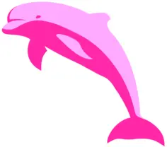 Pink dolphin