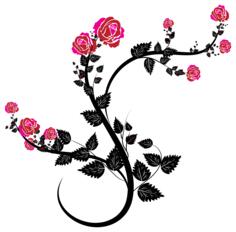 Rose Branch