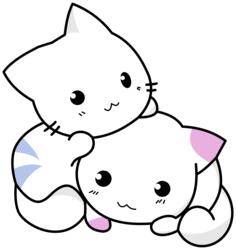 Cute Kittens Playing