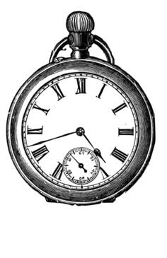 Fob watch
