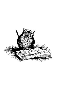 Owl illustrating