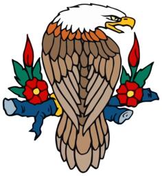 Perched bald eagle
