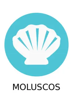 Mollusks
