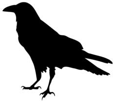 Raven Silhouette