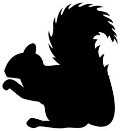Squirrel profile silhouette