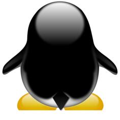 Penguin's back