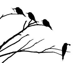 European Bee Eaters Silhouette
