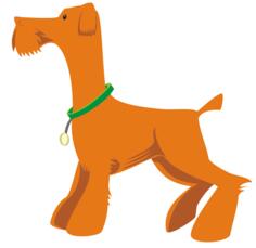 Orange dog