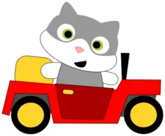 Cat driving a car